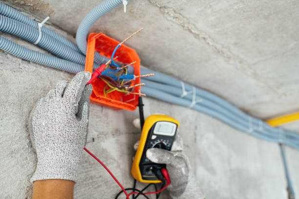 Best Electric Panel Repair  in Lucasville, OH